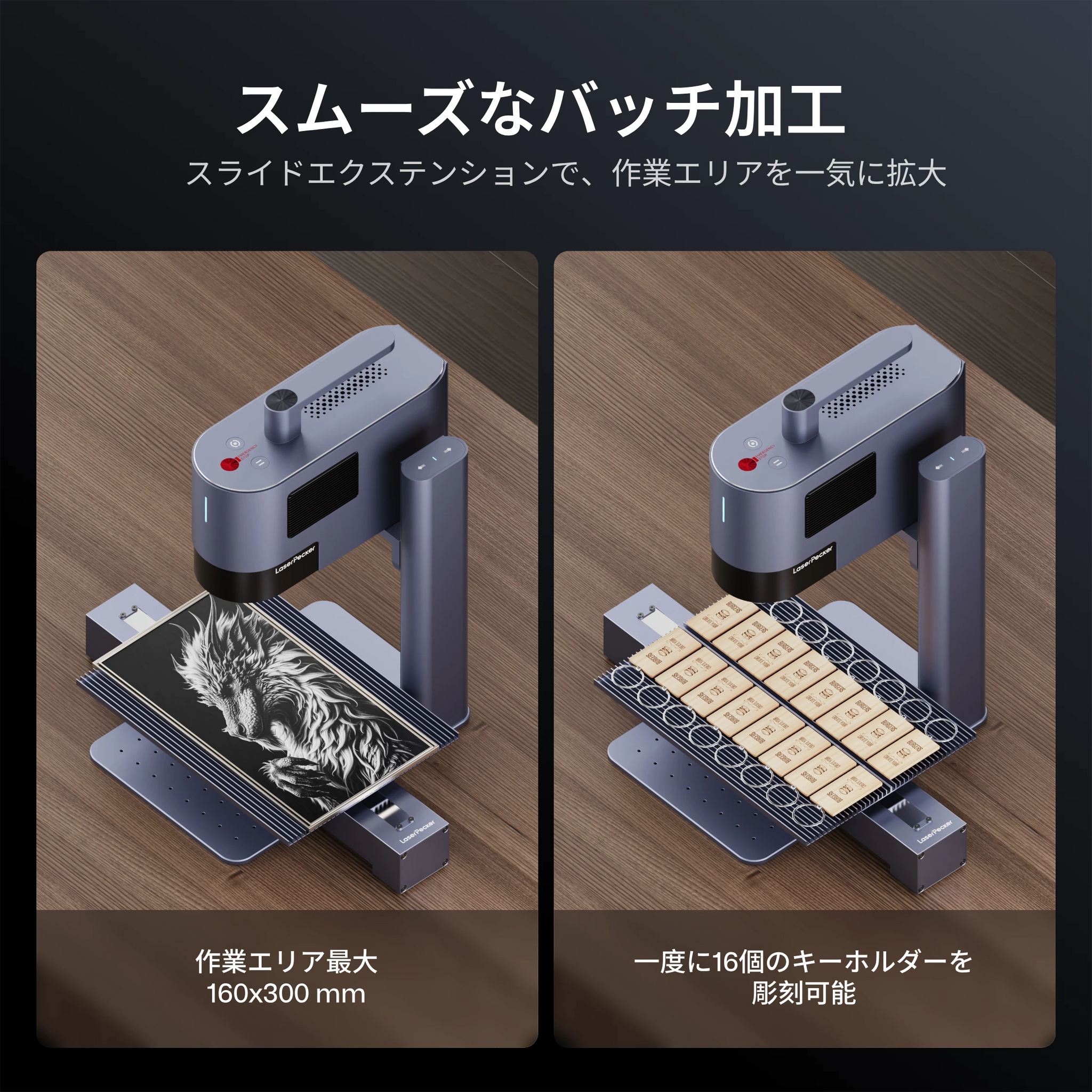 レーザーペッカー LP5 バッチ加工
